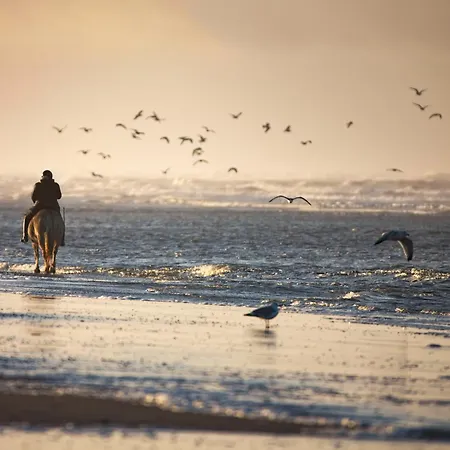 Appartementhaus Bracht - Leev Apartment Juist