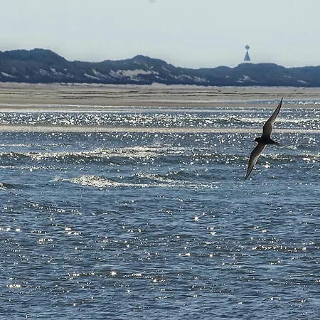 Appartementhaus Bracht - Leev * Juist